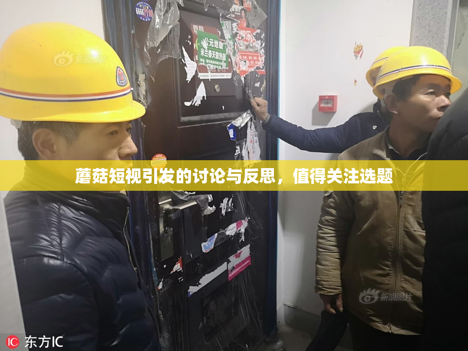 蘑菇短视引发的讨论与反思，值得关注选题
