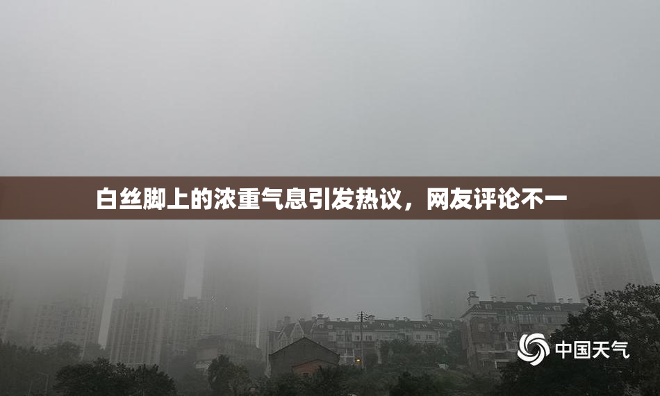 白丝脚上的浓重气息引发热议，网友评论不一