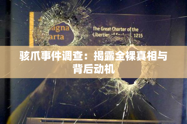 骇爪事件调查：揭露全裸真相与背后动机
