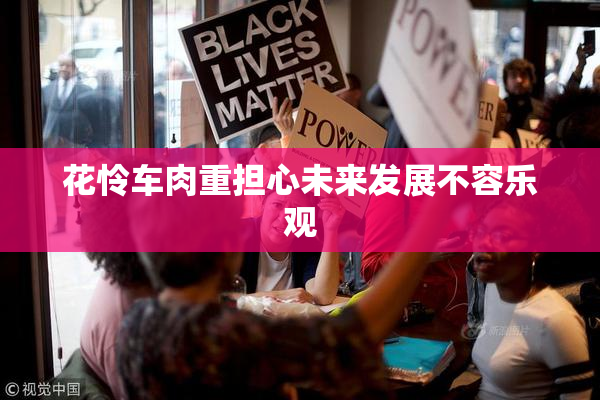 花怜车肉重担心未来发展不容乐观