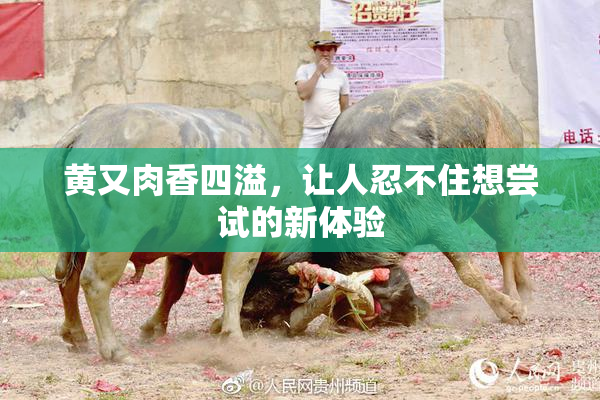 黄又肉香四溢，让人忍不住想尝试的新体验