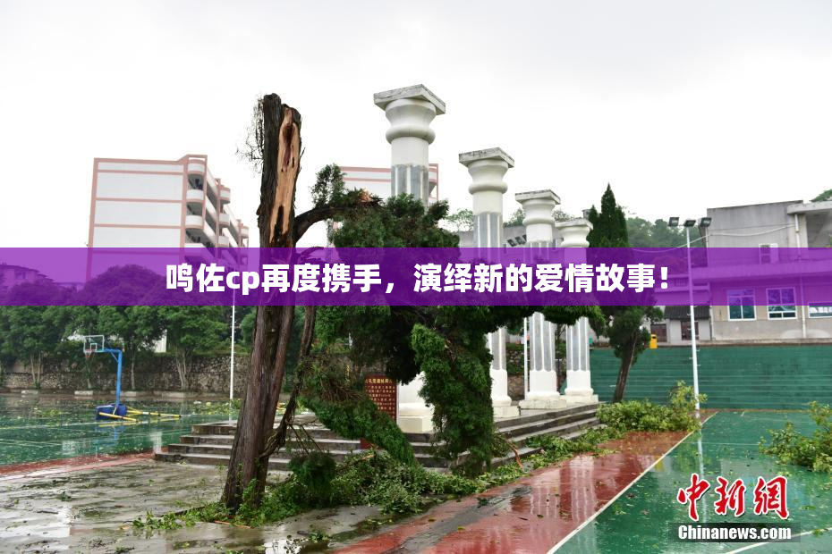 鸣佐cp再度携手，演绎新的爱情故事！