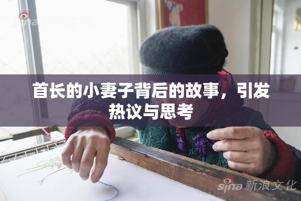 首长的小妻子背后的故事，引发热议与思考