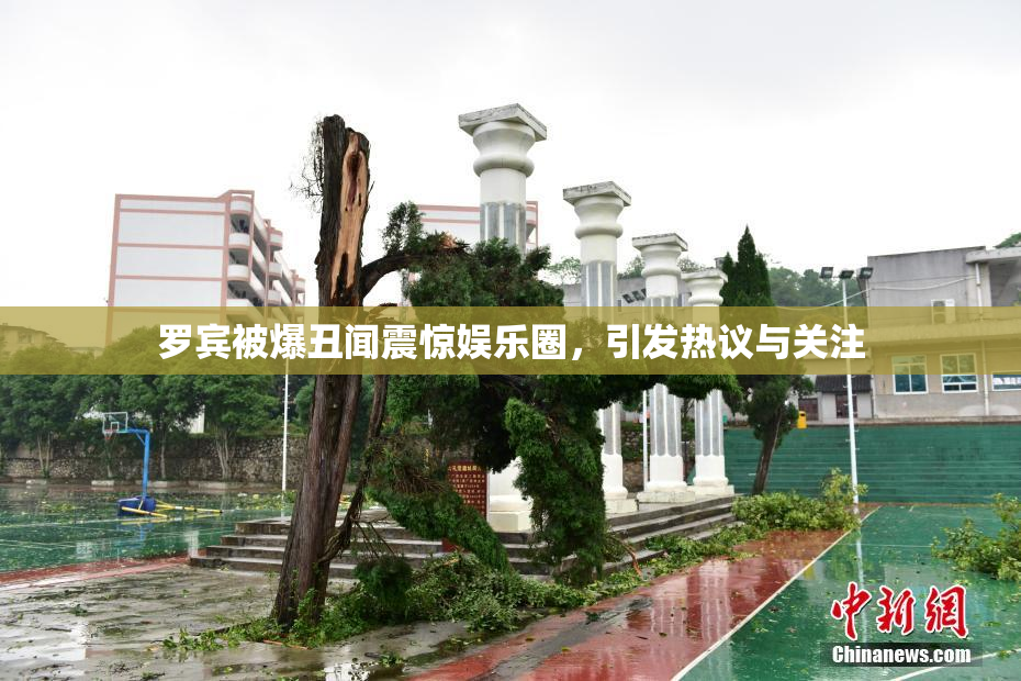 罗宾被爆丑闻震惊娱乐圈，引发热议与关注