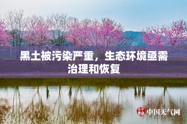 黑土被污染严重，生态环境亟需治理和恢复