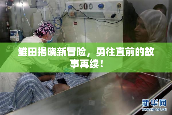 雏田揭晓新冒险，勇往直前的故事再续！