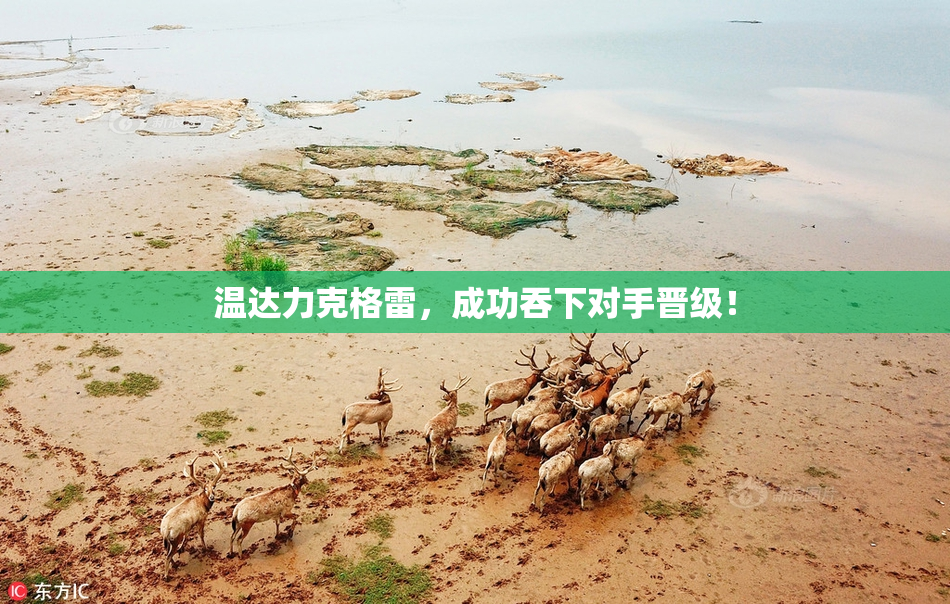 温达力克格雷，成功吞下对手晋级！