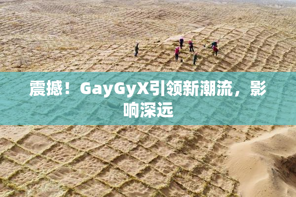 震撼！GayGyX引领新潮流，影响深远