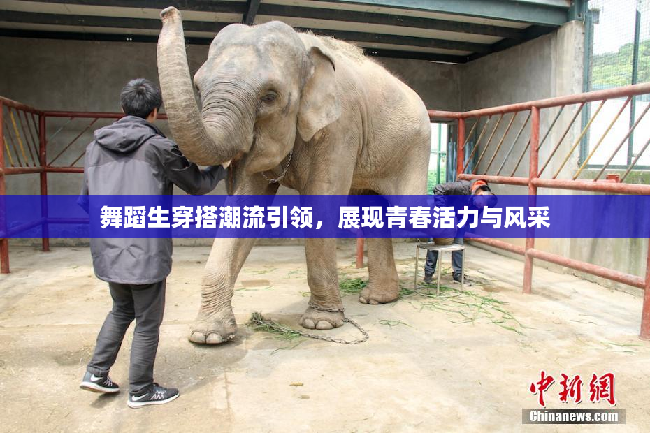舞蹈生穿搭潮流引领，展现青春活力与风采