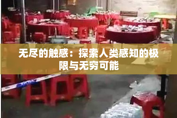 无尽的触感：探索人类感知的极限与无穷可能