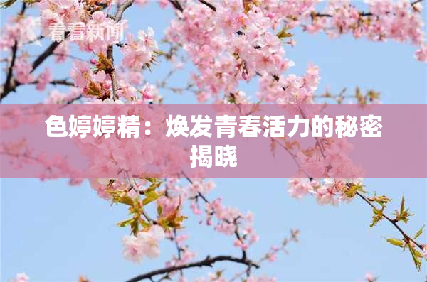 色婷婷精：焕发青春活力的秘密揭晓