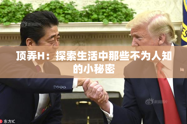 顶弄H：探索生活中那些不为人知的小秘密