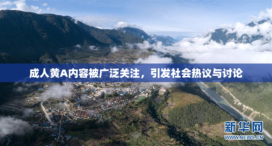 成人黄A内容被广泛关注，引发社会热议与讨论