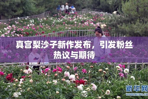 真宫梨沙子新作发布，引发粉丝热议与期待