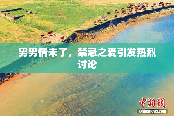 男男情未了，禁忌之爱引发热烈讨论