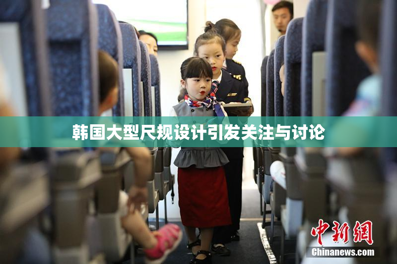 韩国大型尺规设计引发关注与讨论