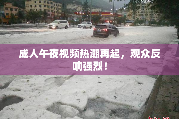 成人午夜视频热潮再起，观众反响强烈！