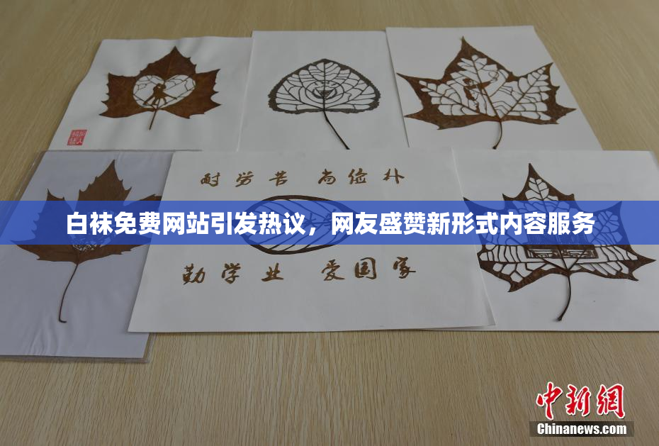 白袜免费网站引发热议，网友盛赞新形式内容服务