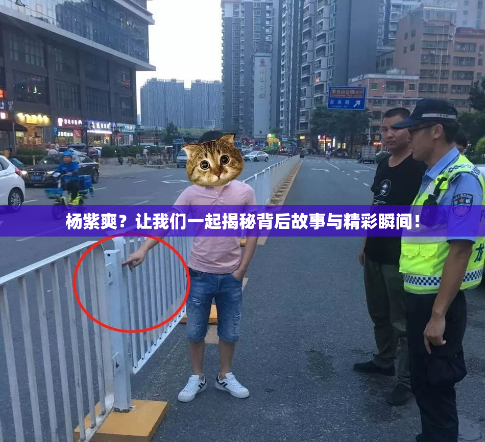 杨紫爽？让我们一起揭秘背后故事与精彩瞬间！