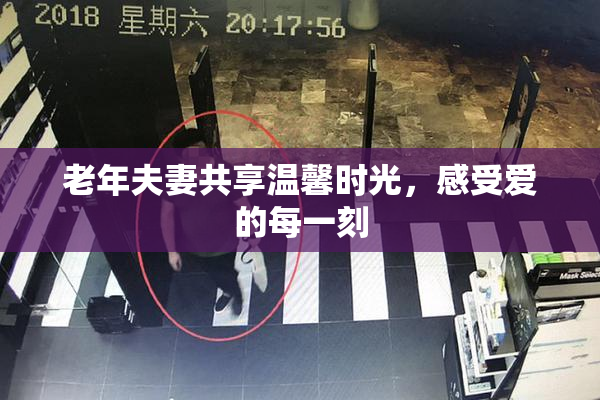 老年夫妻共享温馨时光，感受爱的每一刻