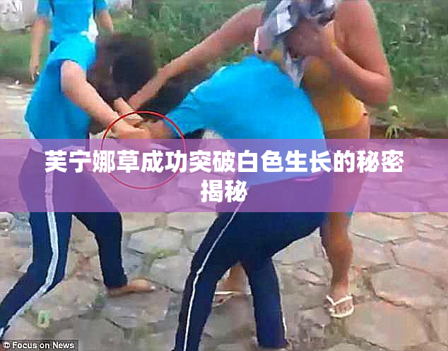 芙宁娜草成功突破白色生长的秘密揭秘