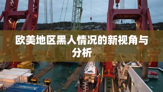 欧美地区黑人情况的新视角与分析