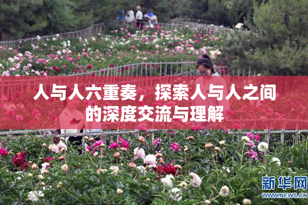 人与人六重奏，探索人与人之间的深度交流与理解