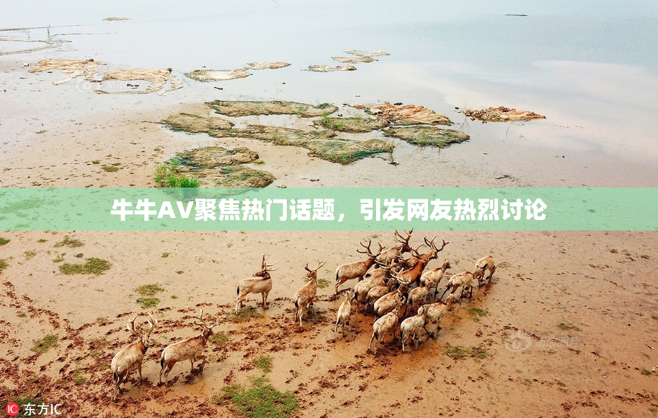 牛牛AV聚焦热门话题，引发网友热烈讨论