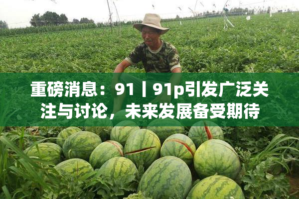 重磅消息：91丨91p引发广泛关注与讨论，未来发展备受期待