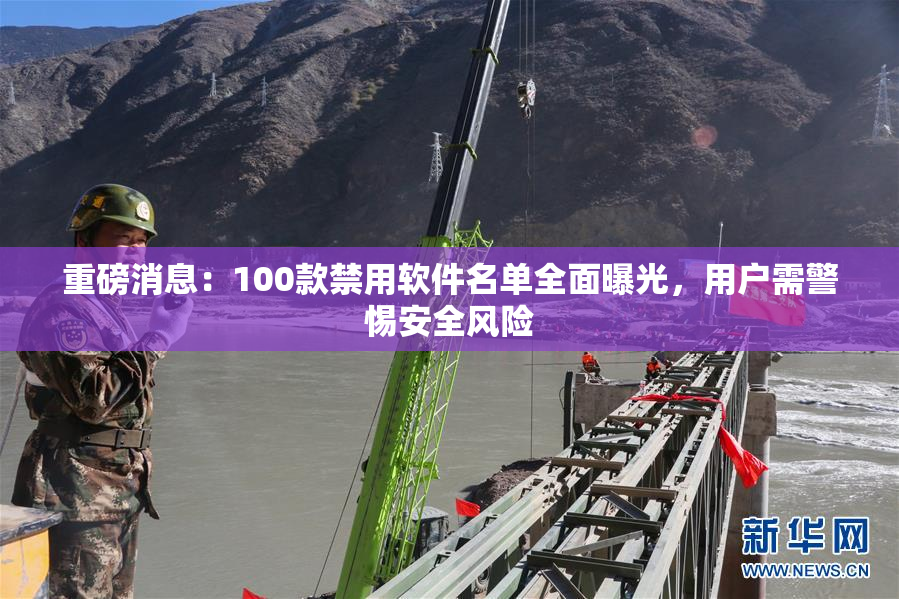 重磅消息：100款禁用软件名单全面曝光，用户需警惕安全风险