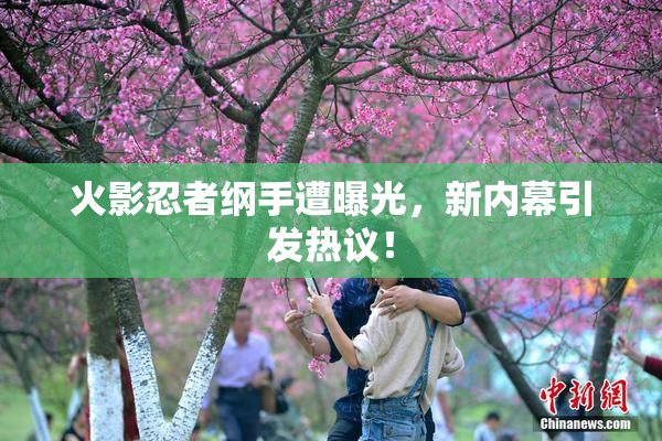 火影忍者纲手遭曝光，新内幕引发热议！