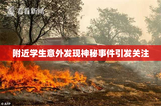 附近学生意外发现神秘事件引发关注