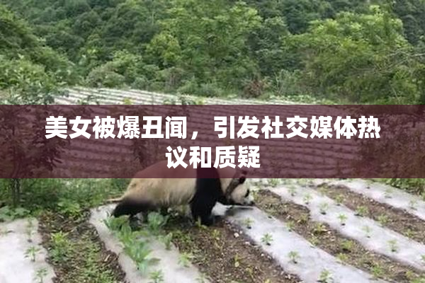 美女被爆丑闻，引发社交媒体热议和质疑