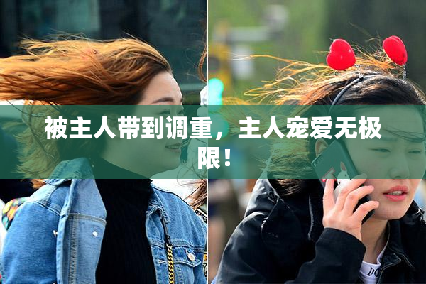 被主人带到调重，主人宠爱无极限！