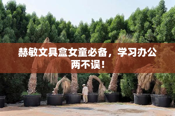 赫敏文具盒女童必备，学习办公两不误！