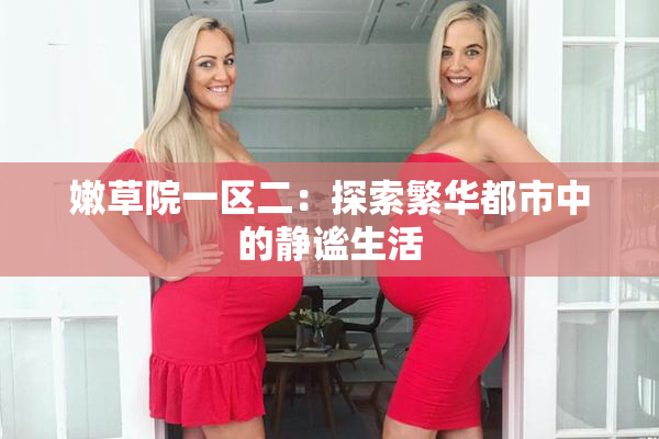 嫩草院一区二：探索繁华都市中的静谧生活
