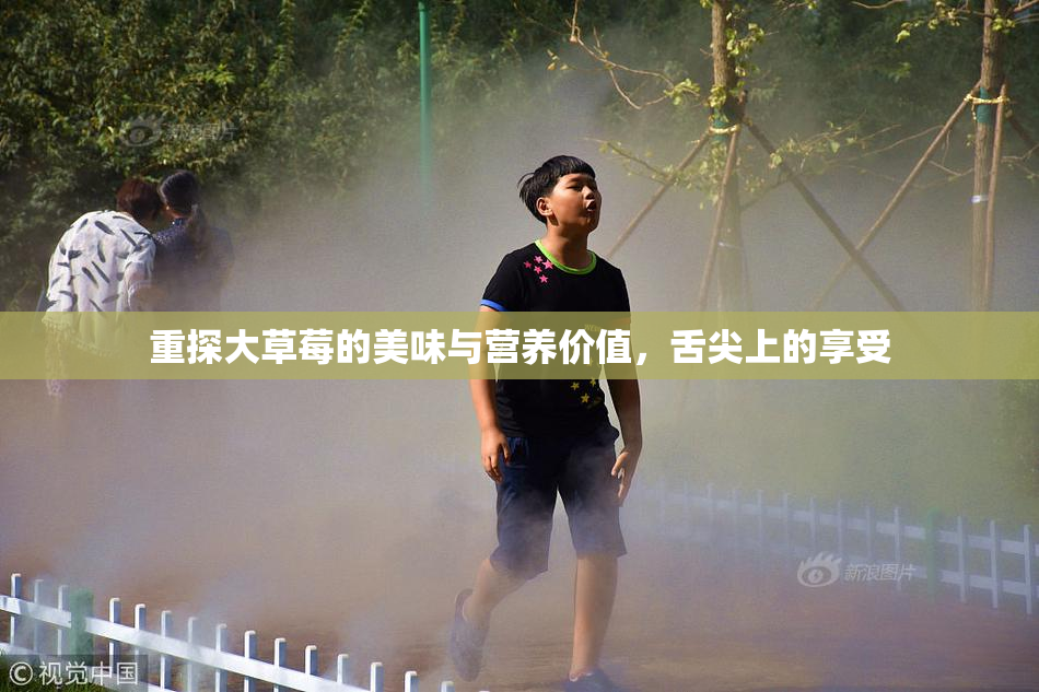 重探大草莓的美味与营养价值，舌尖上的享受