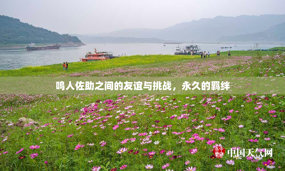 鸣人佐助之间的友谊与挑战，永久的羁绊
