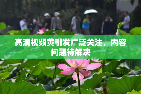 高清视频黄引发广泛关注，内容问题待解决