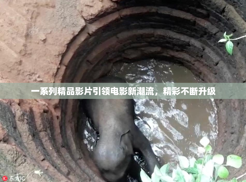 一系列精品影片引领电影新潮流，精彩不断升级