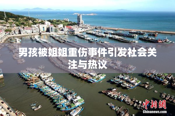 男孩被姐姐重伤事件引发社会关注与热议