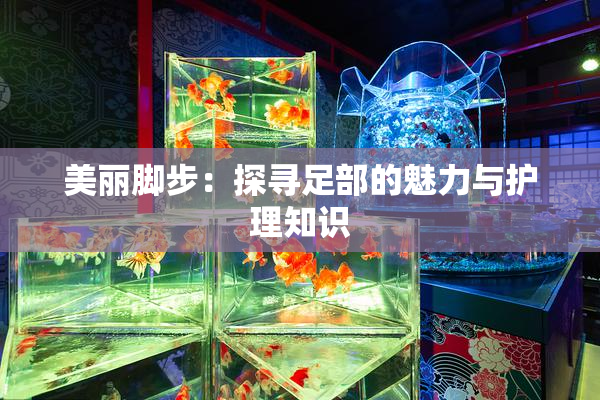 美丽脚步：探寻足部的魅力与护理知识