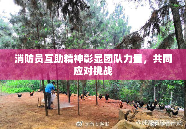 消防员互助精神彰显团队力量，共同应对挑战