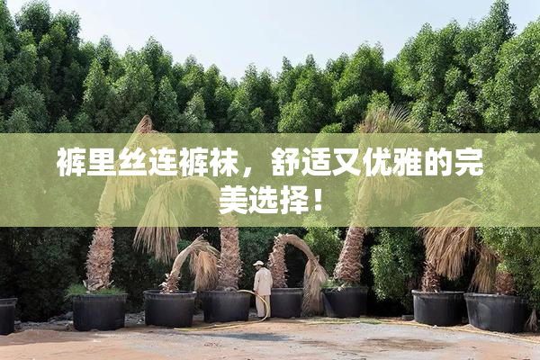 裤里丝连裤袜，舒适又优雅的完美选择！