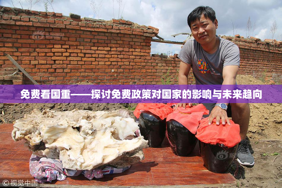 免费看国重——探讨免费政策对国家的影响与未来趋向