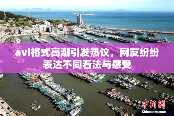 avi格式高潮引发热议，网友纷纷表达不同看法与感受