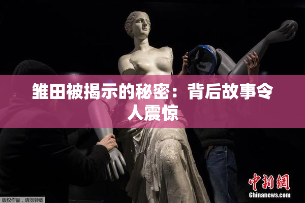 雏田被揭示的秘密：背后故事令人震惊