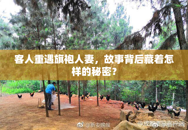 客人重遇旗袍人妻，故事背后藏着怎样的秘密？