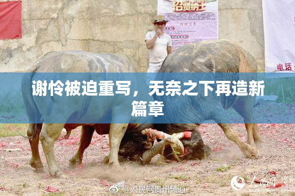 谢怜被迫重写，无奈之下再造新篇章