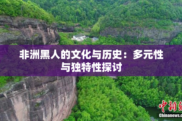 非洲黑人的文化与历史：多元性与独特性探讨